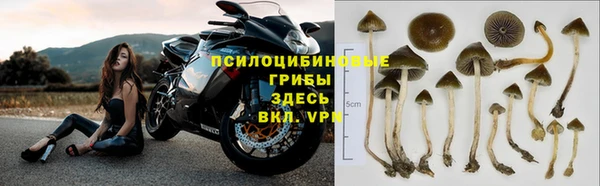 каннабис Арсеньев