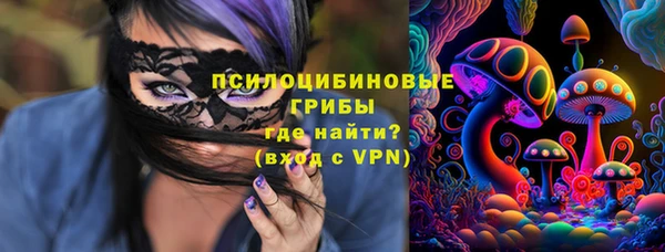 каннабис Арсеньев