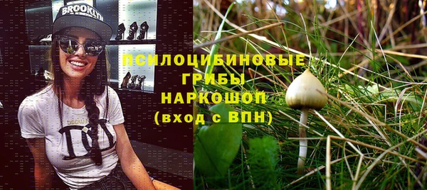 гидра Аркадак