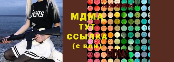 гидра Аркадак