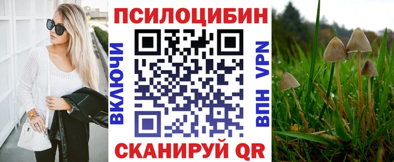 blacksprut как войти  Пущино  Галлюциногенные грибы Cubensis 